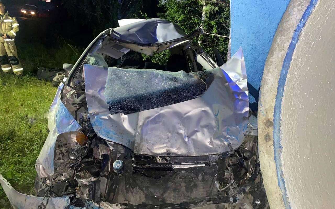 В Красноярском крае в ДТП погибли мужчина и лошадь