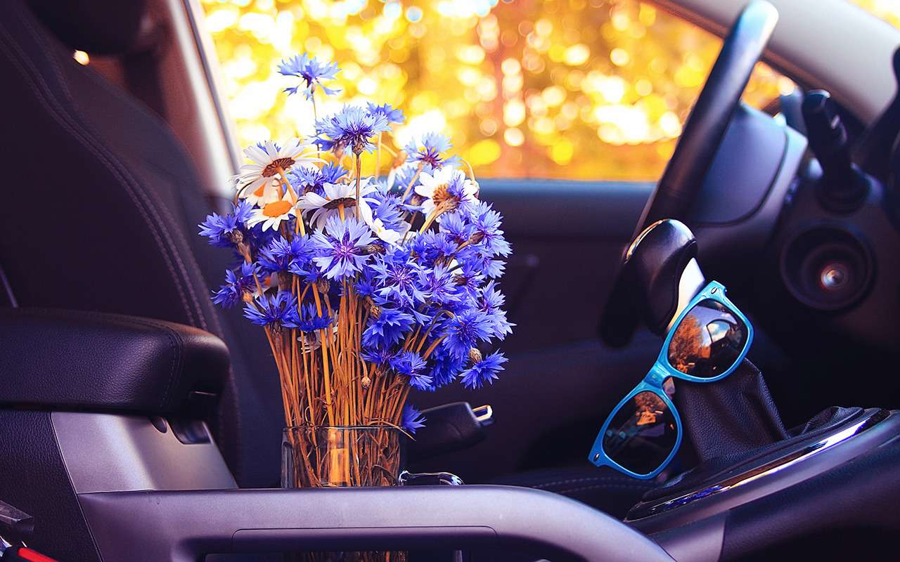 Что может рассказать о хозяйке ее автомобиль? Или не может? Исследование