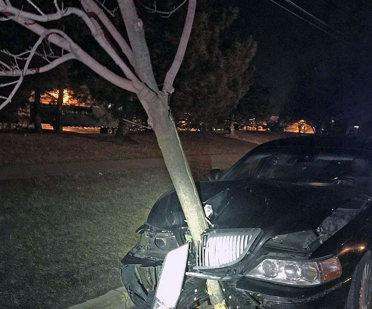 Автомобиль-дерево разъезжал по улицам Иллинойса