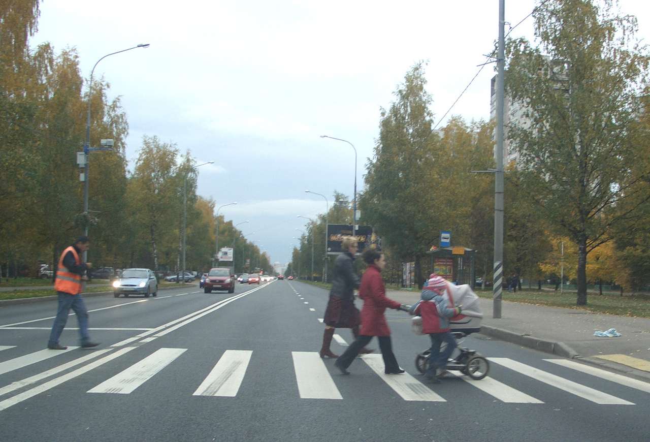 С 2008 года число пешеходных переходов в России выросло на 30 тыс. 