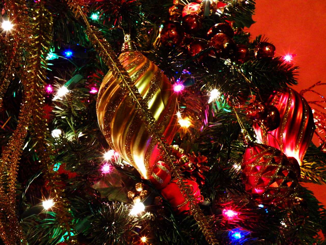 Опрос ЗР: Мы поедем, мы помчимся!..