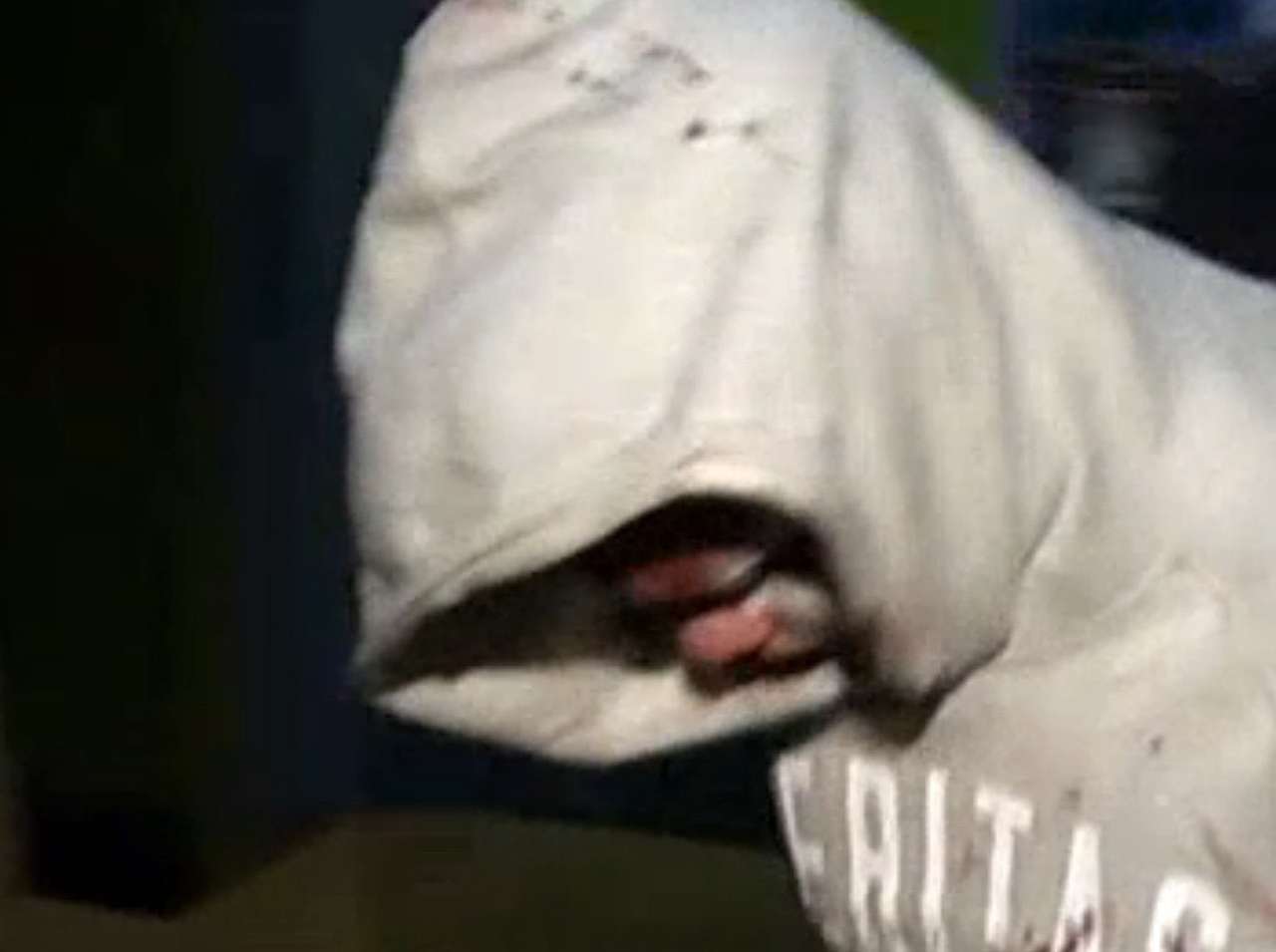 Суд продлил арест обвиняемому в ДТП на Минской