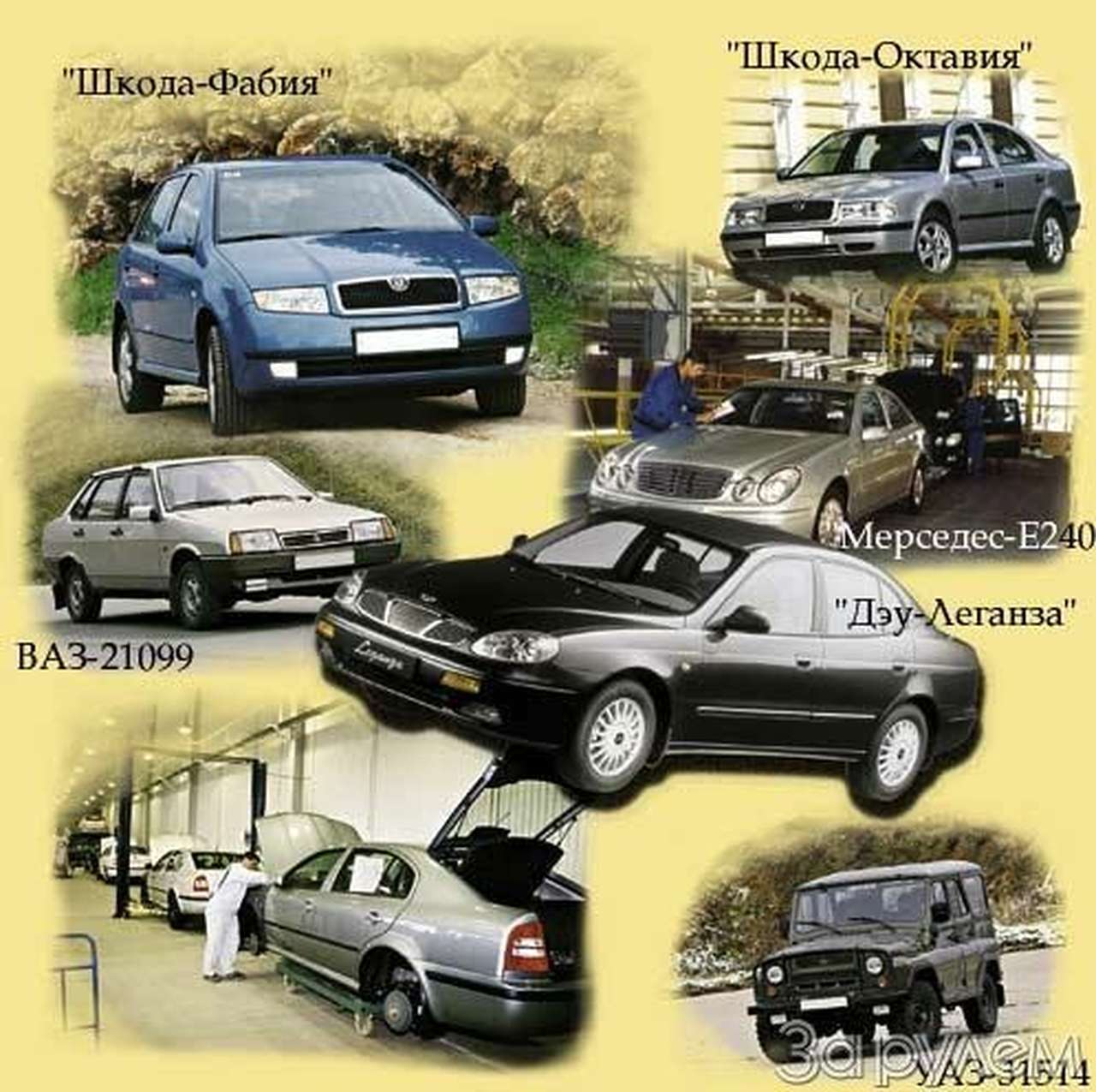 Орех вишневый возле хаты...