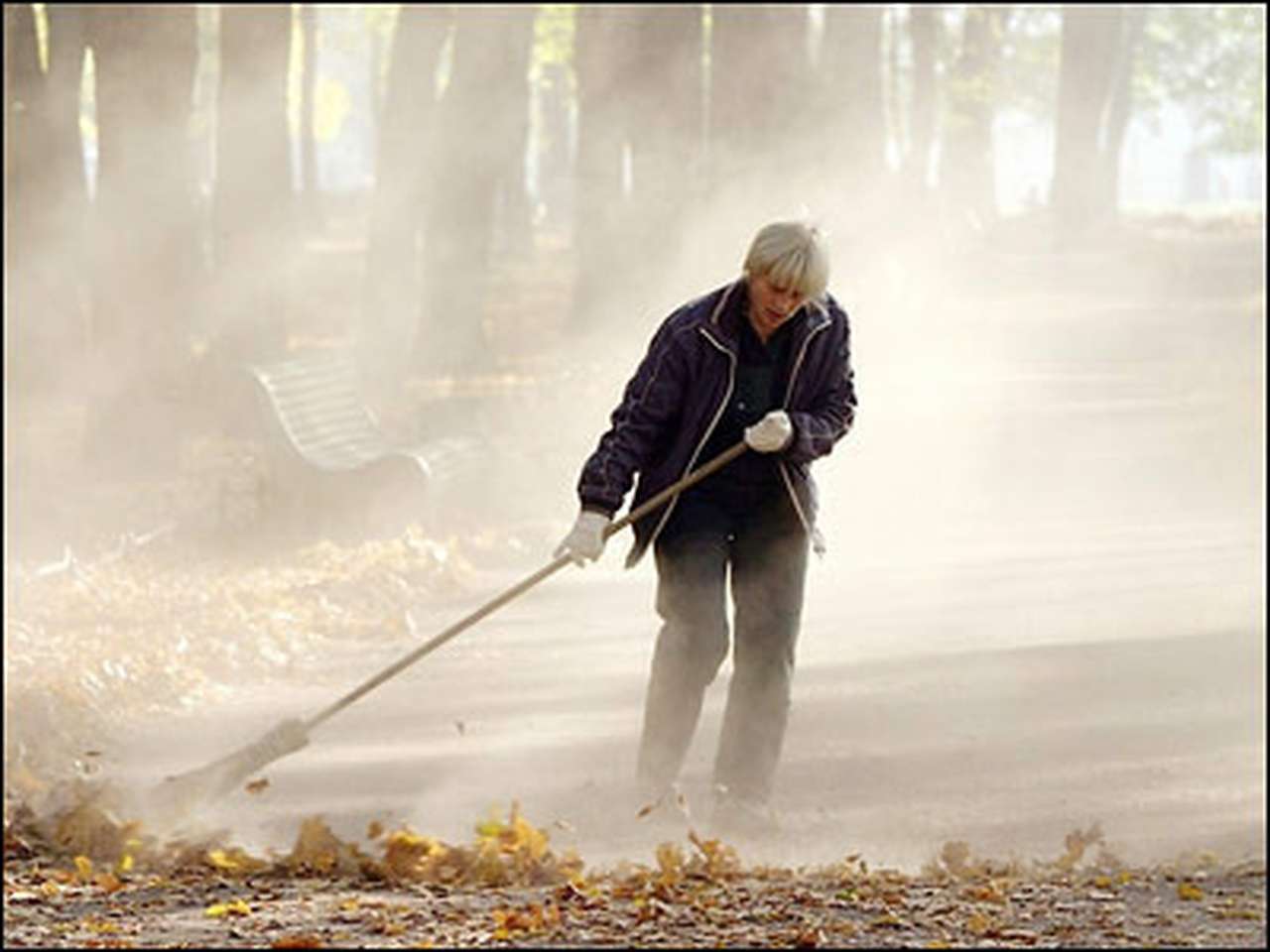 Лихачей будут приговаривать к общественным работам 