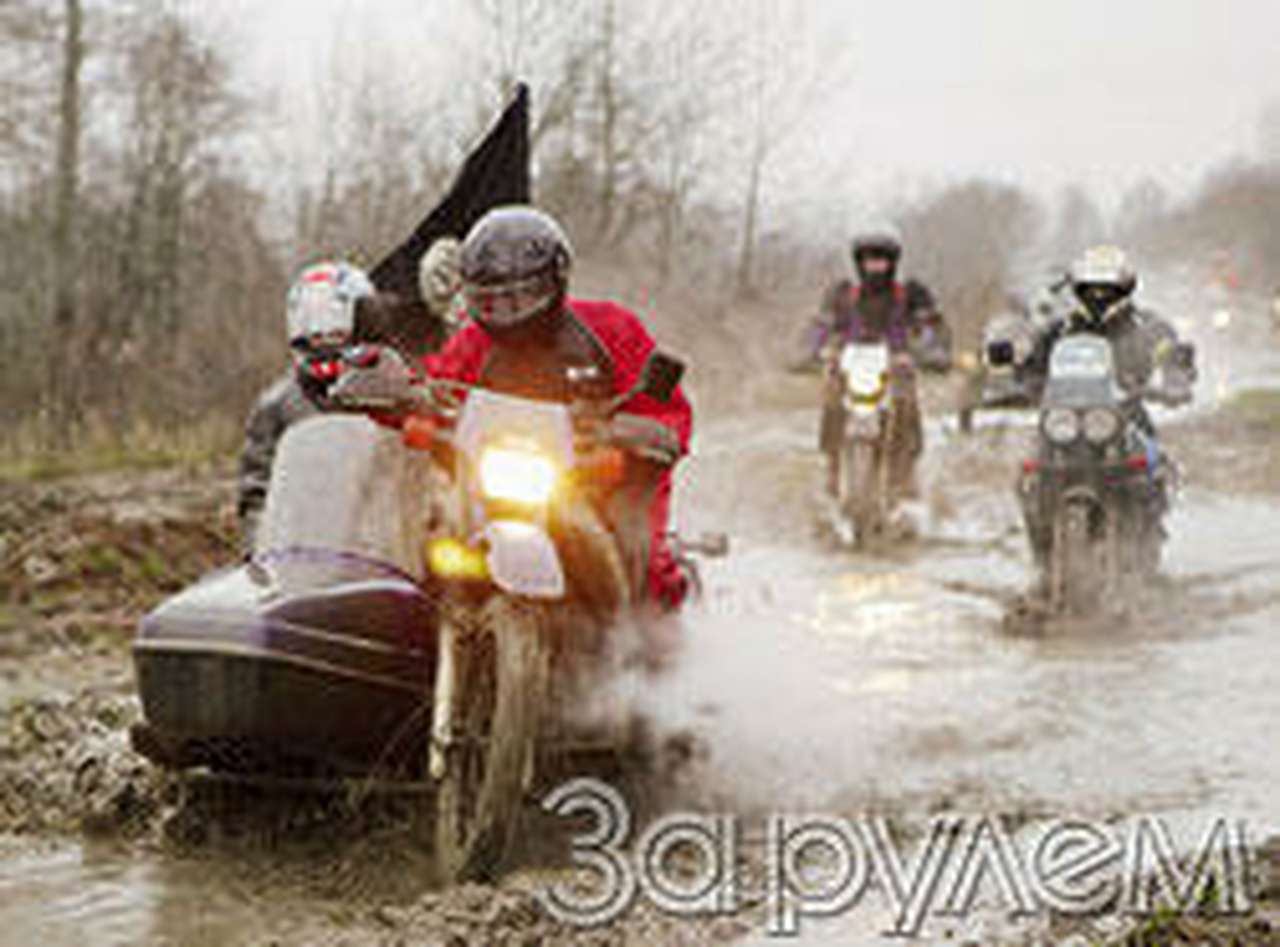 Прогулки с медведями