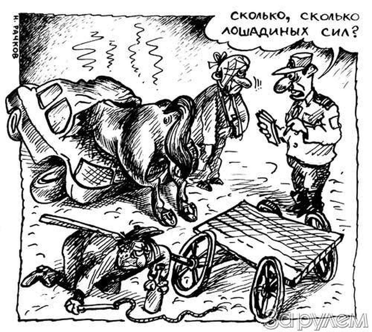 Дело о мертвой кобыле