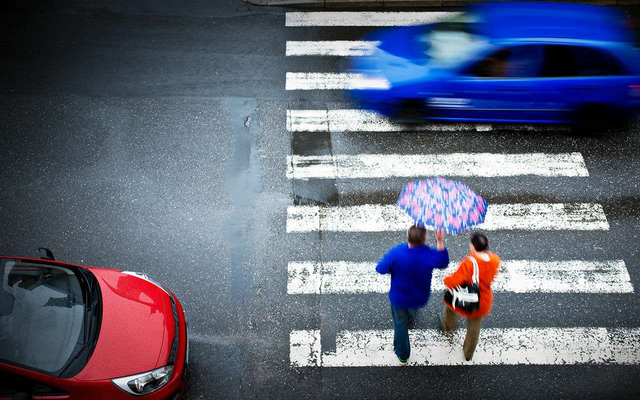 Дави пешехода, езди голым, пристегни собаку... - топ-10 странных автозаконов