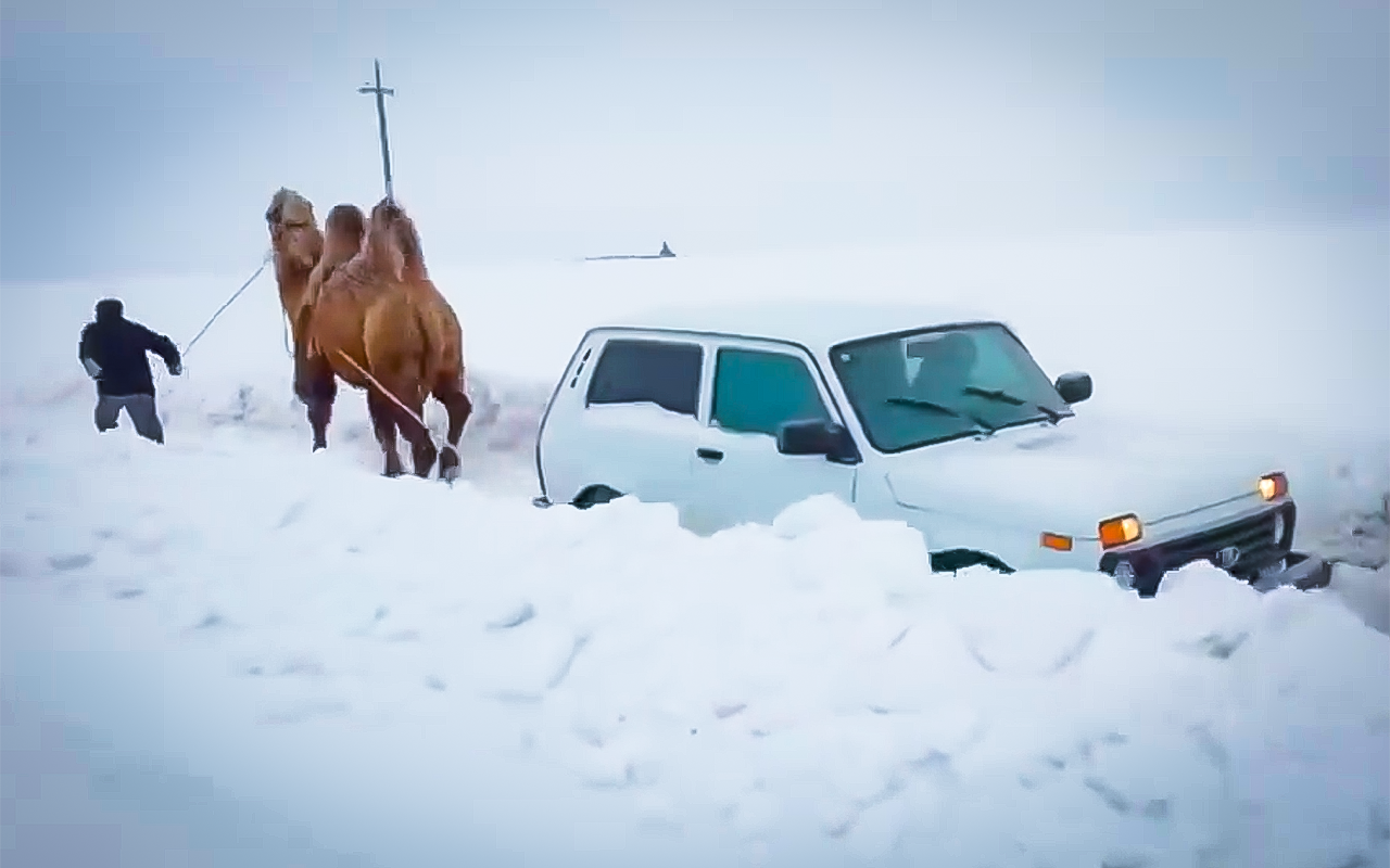 Машина застряла в сугробе — проехать или помочь? Как отвечают люди