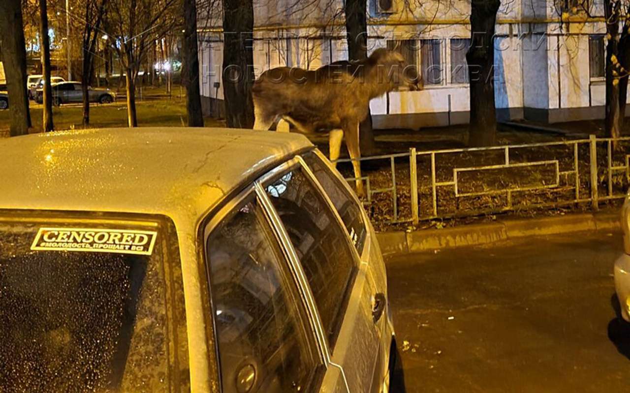 Автомобилистов предупредили о серьезной опасности на дороге