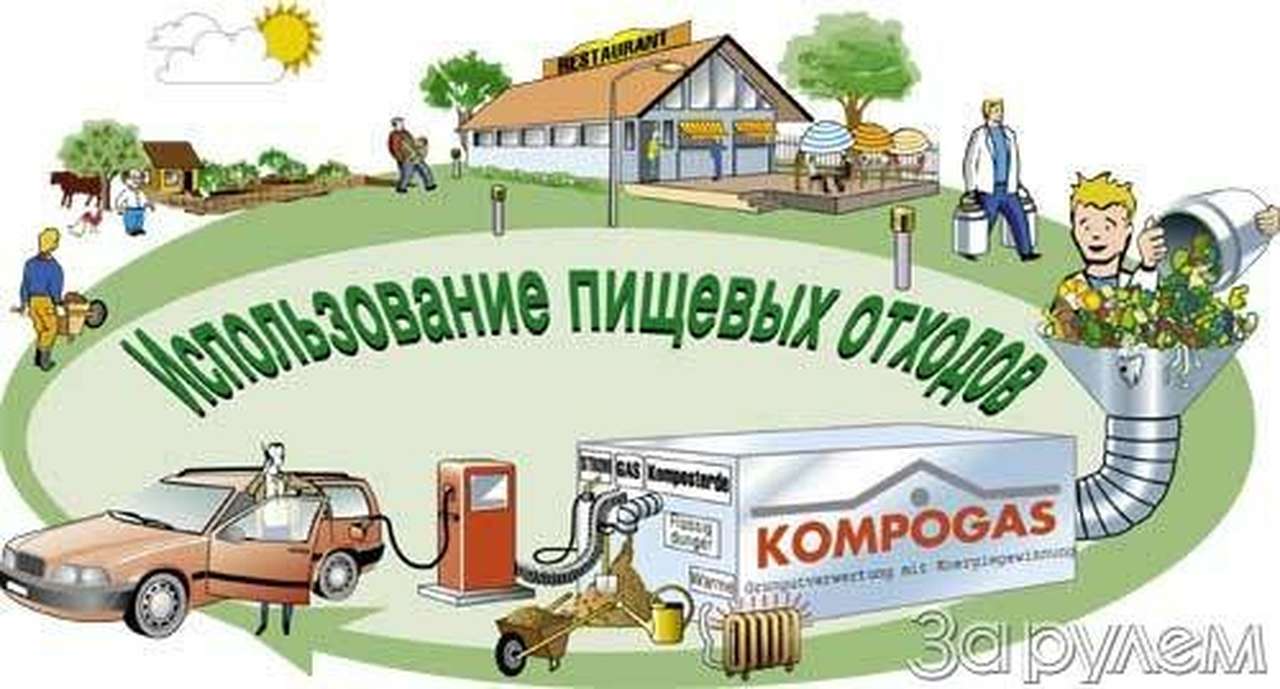 Гонки на... гнилых помидорах