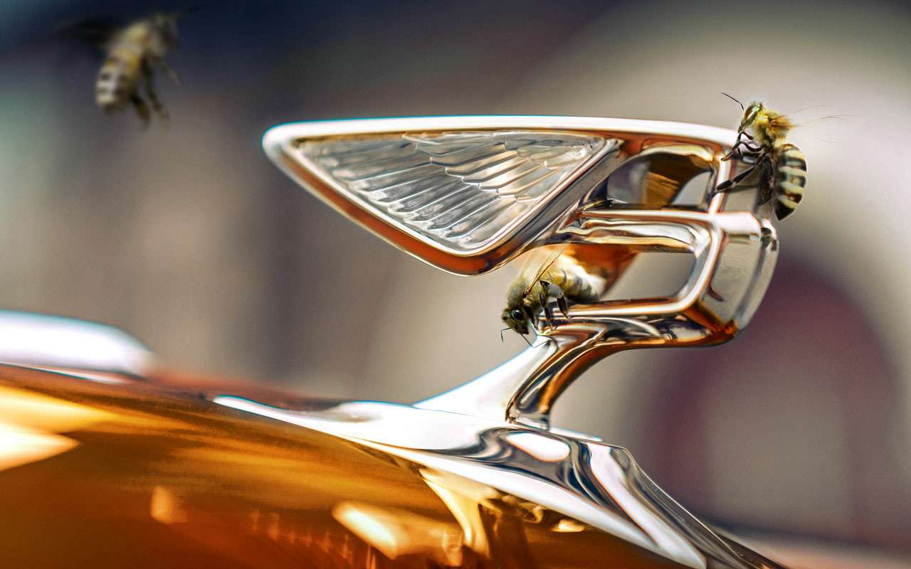 Bentley занялась производством меда