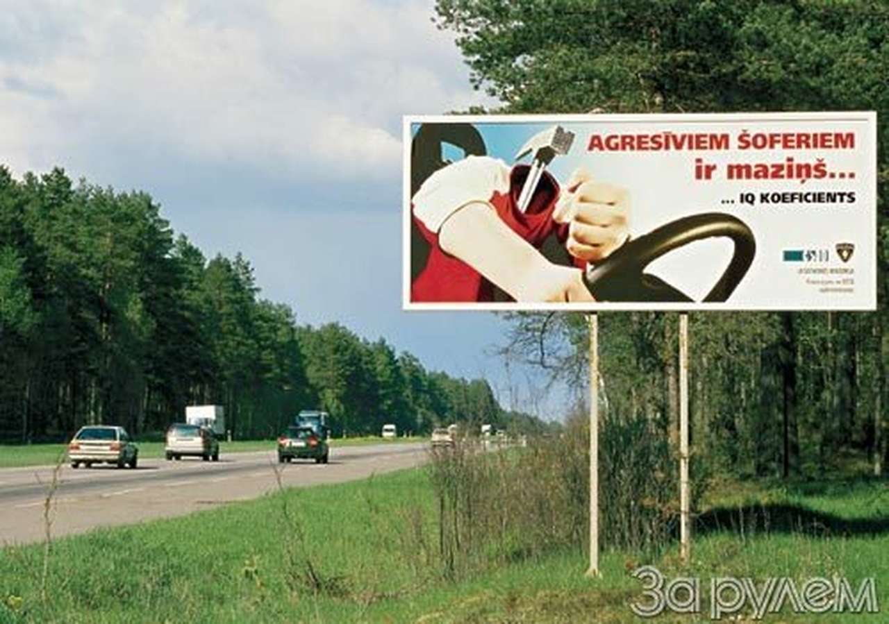 Удел тупоголовых