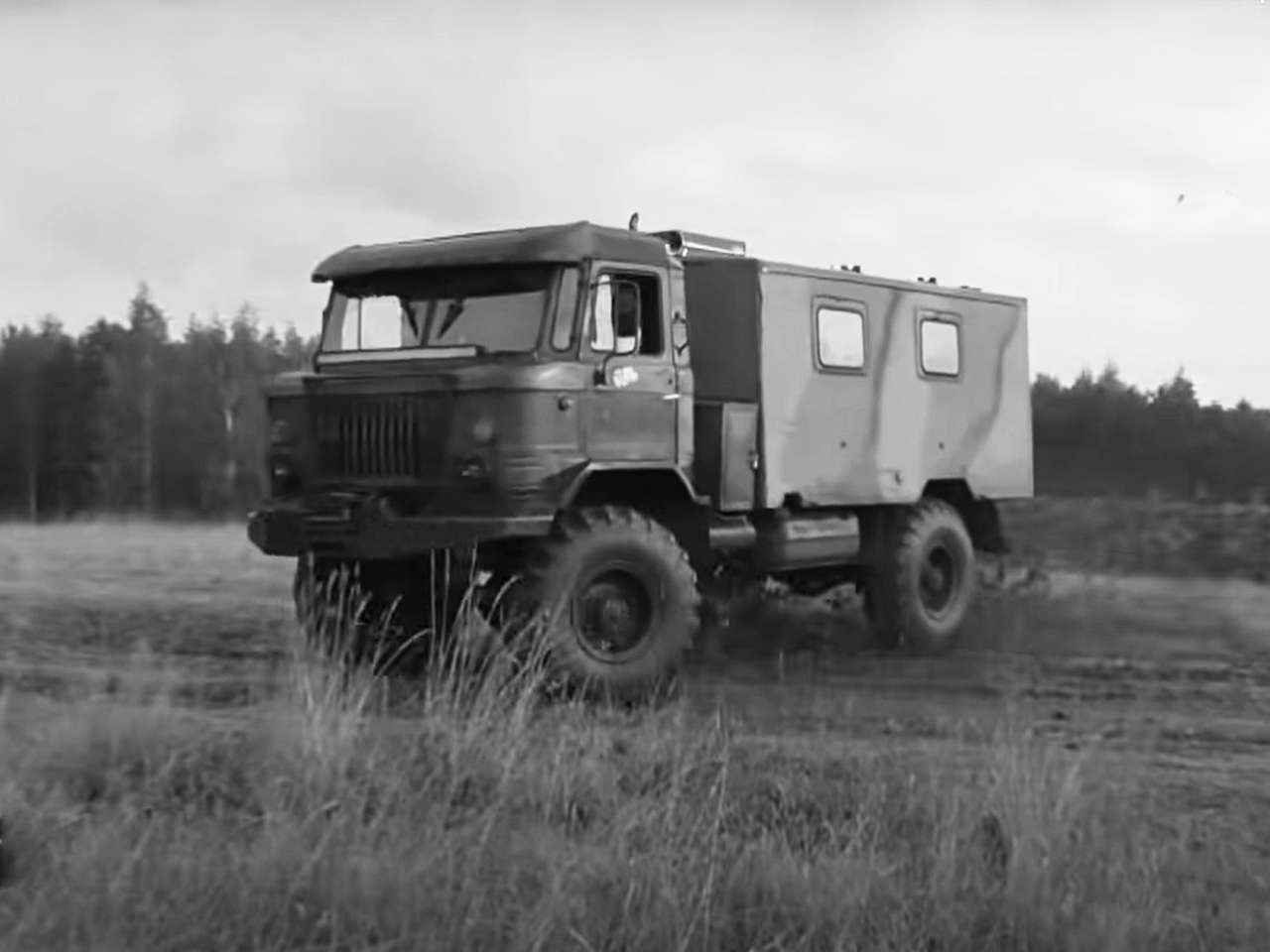 Факт о «шишиге», которого вы (спорим!) не знали