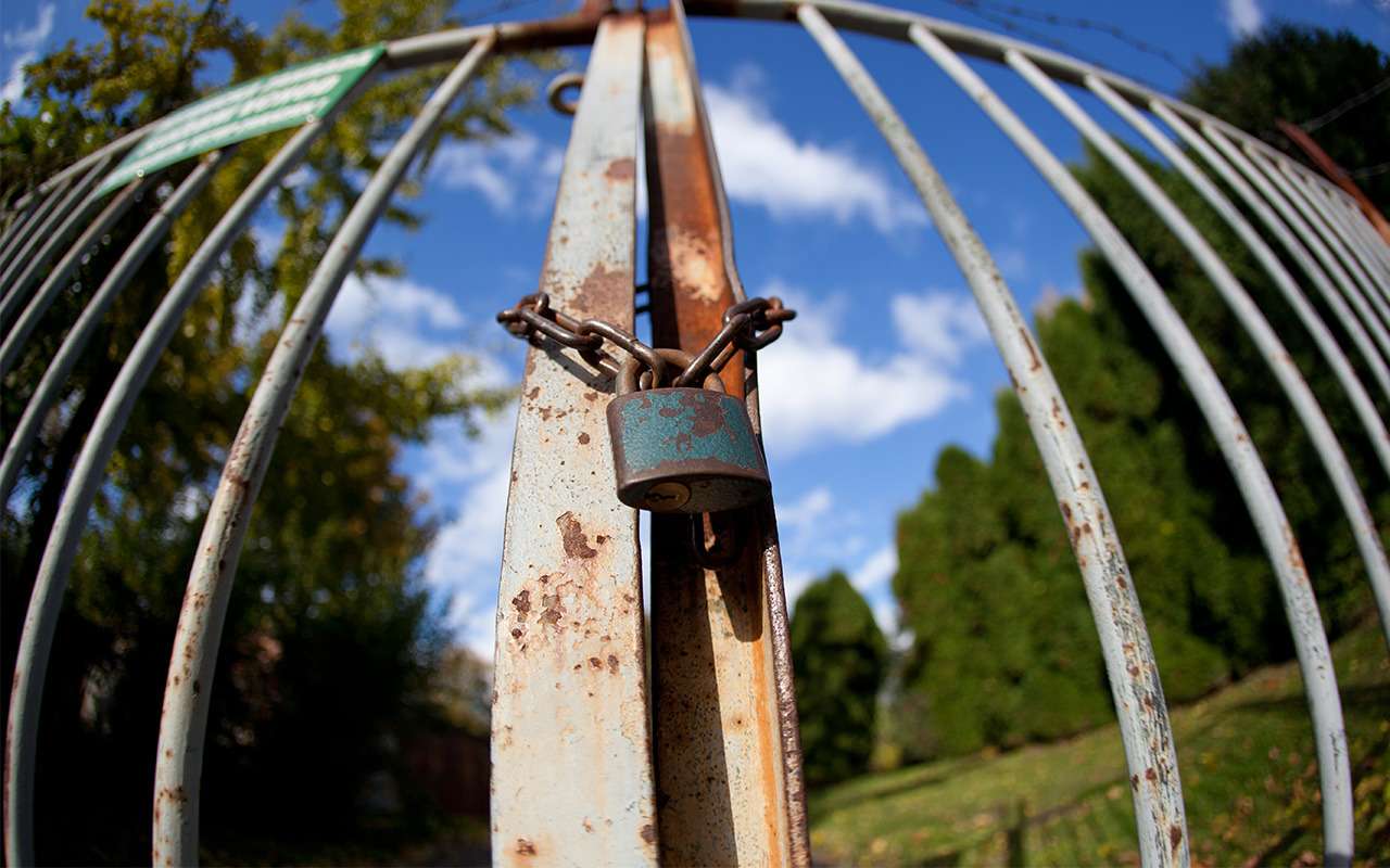 Пьяному и забор по колено. Как полиция задержала молодого угонщика