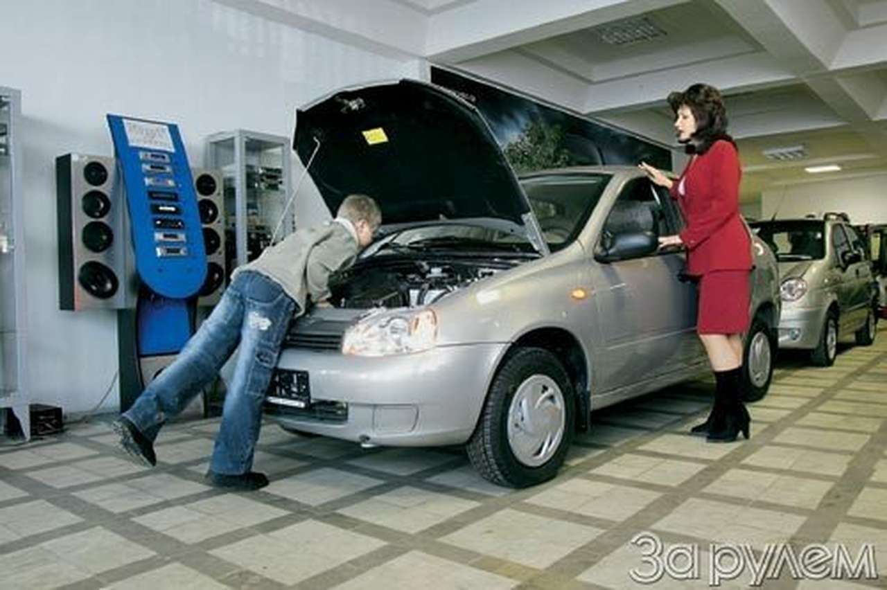 Выход к публике