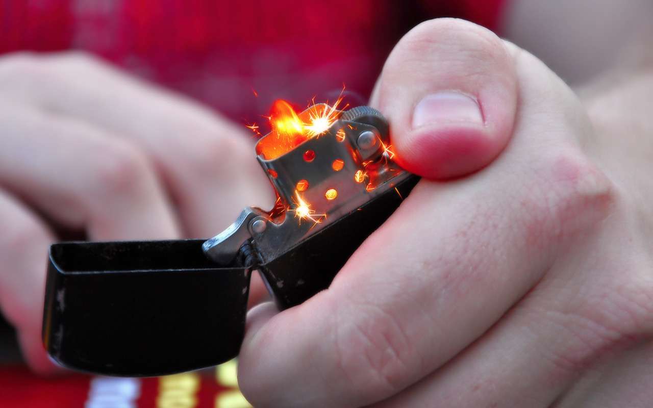 Последнюю кормилицу забирают! Оплачивайте штрафы вовремя