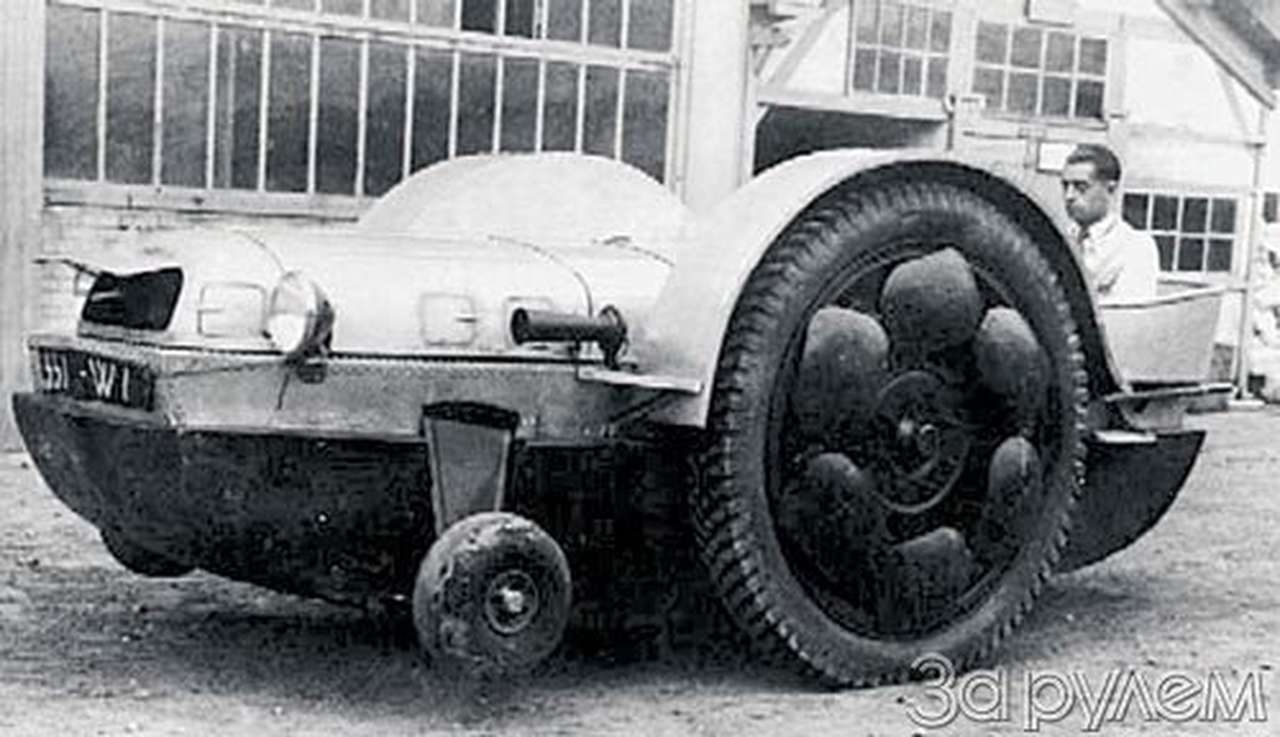 Из жизни земноводных