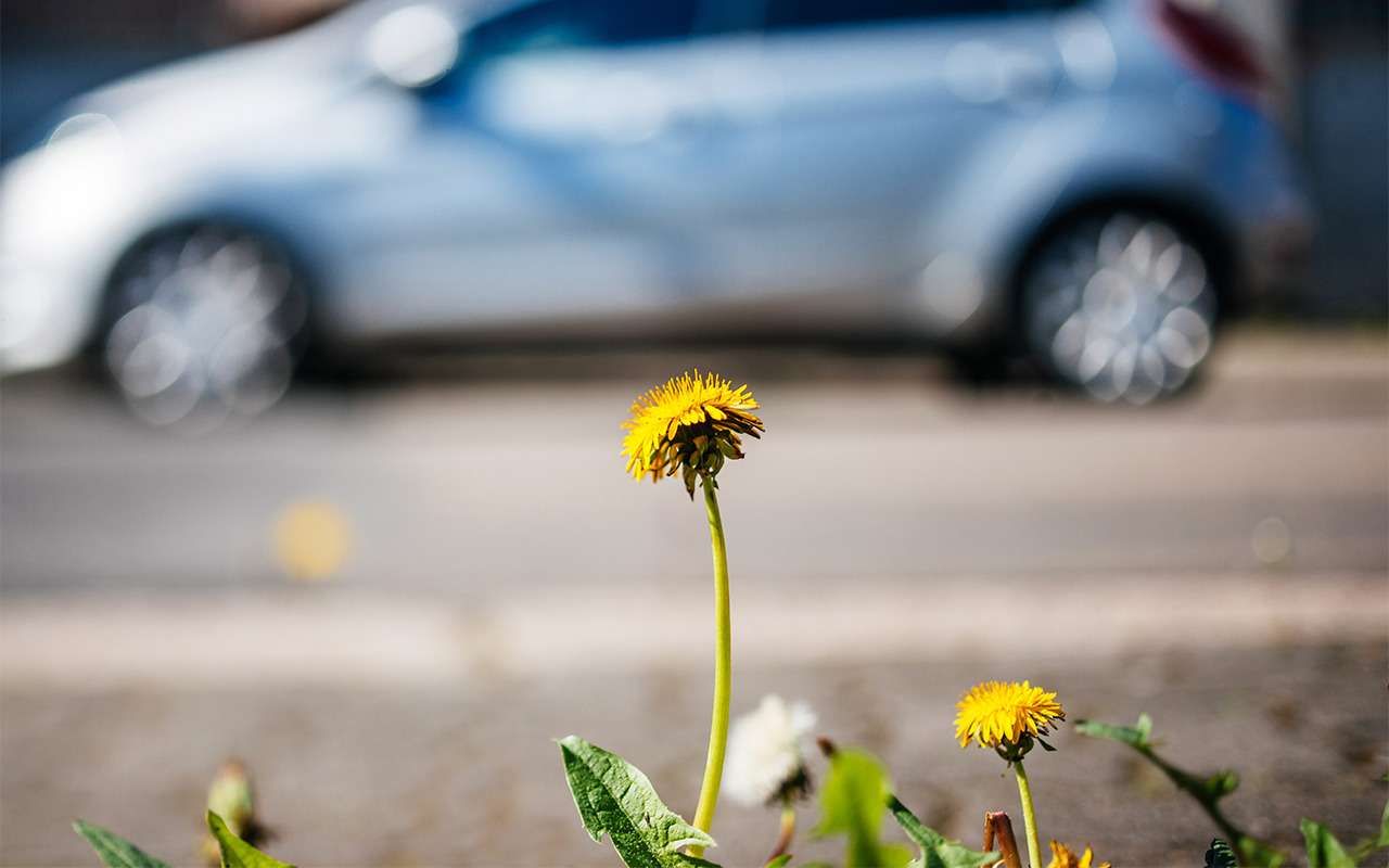 Самые вредные советы «мастеров». Не делайте этого со своей машиной!