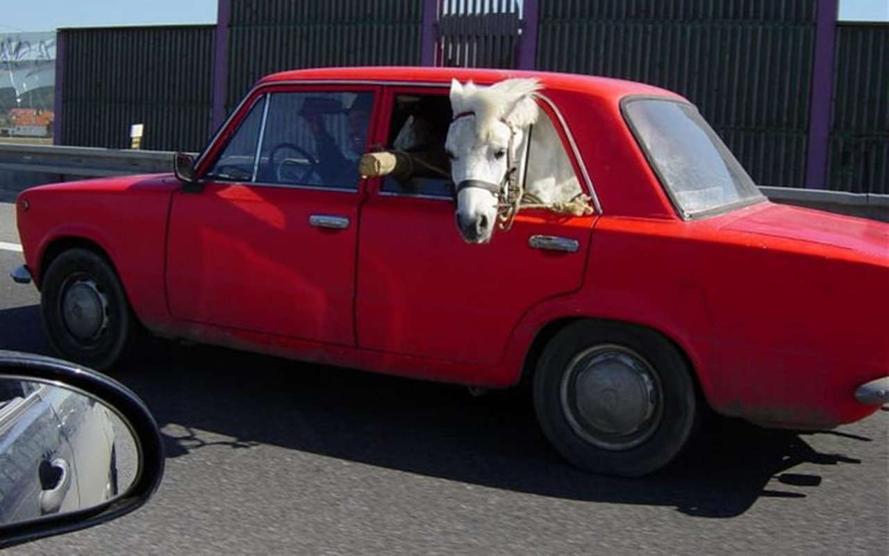 10 лучших автомемов недели (по версии «За рулем»)