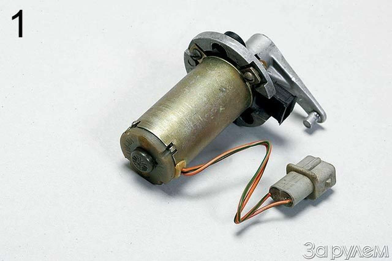 Ни жары, ни холода