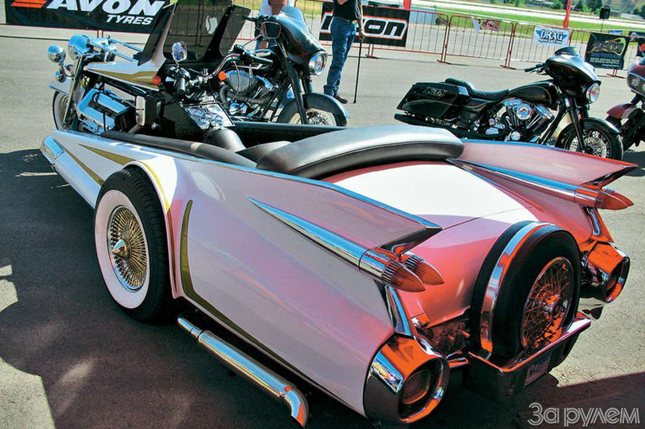 Опорно-двигательные аппараты