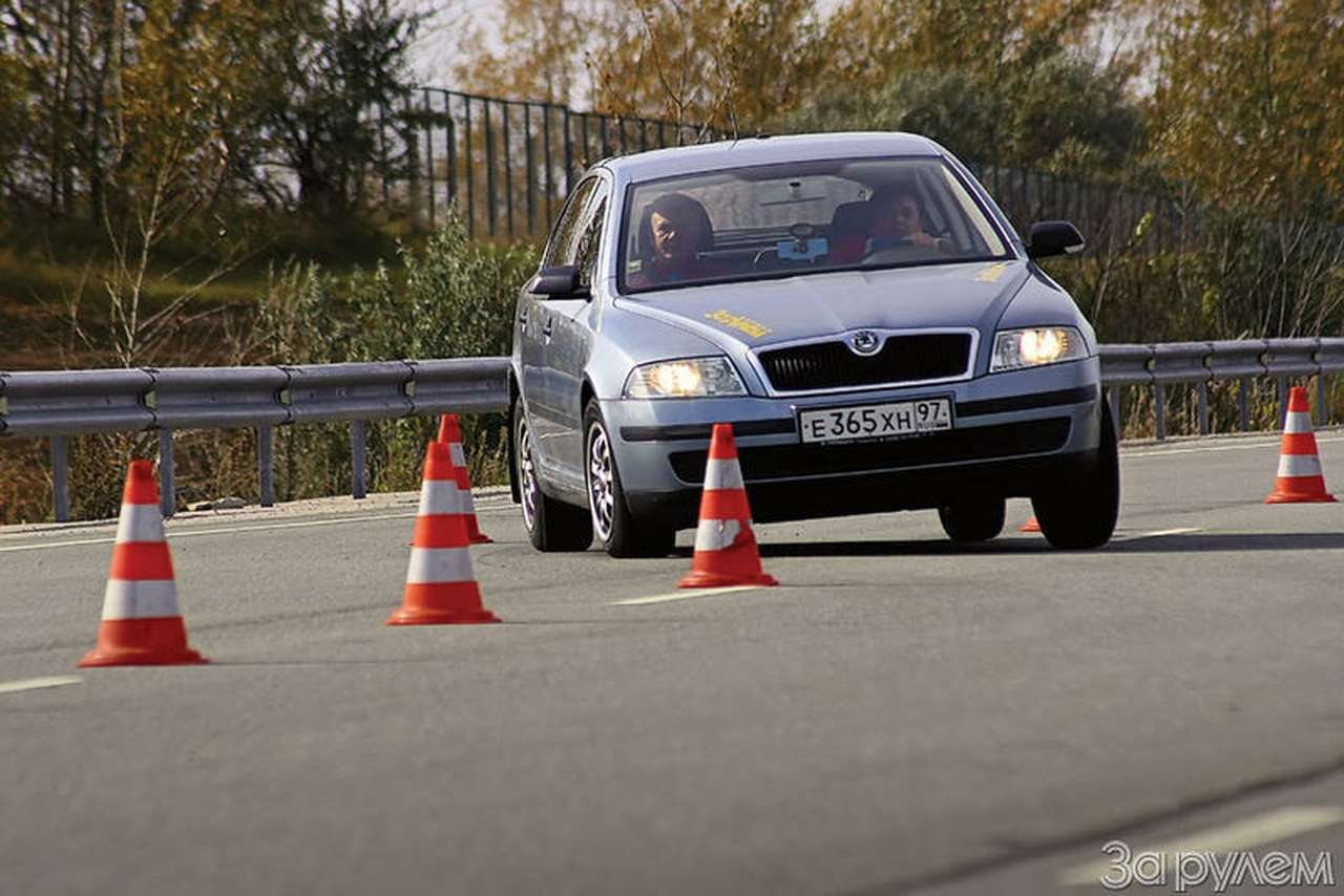 Старшая группа