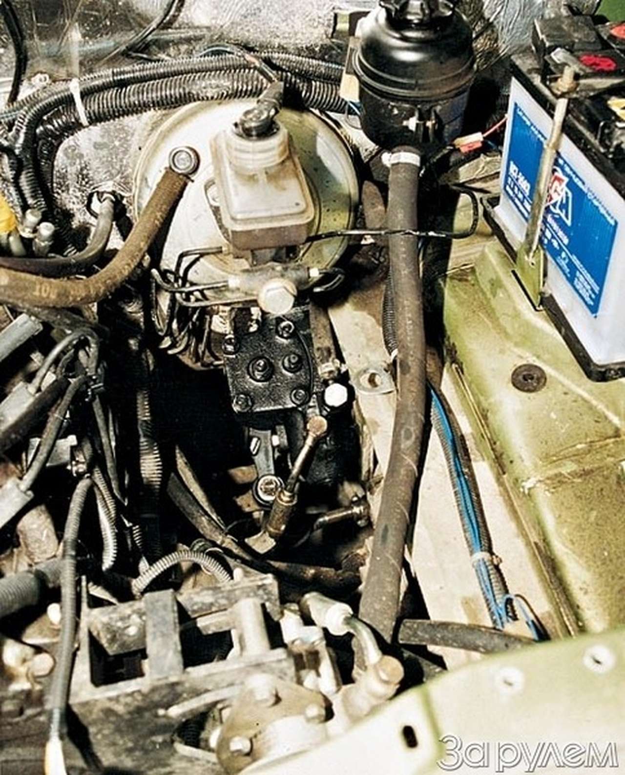 Многие женщины мечтают об этом