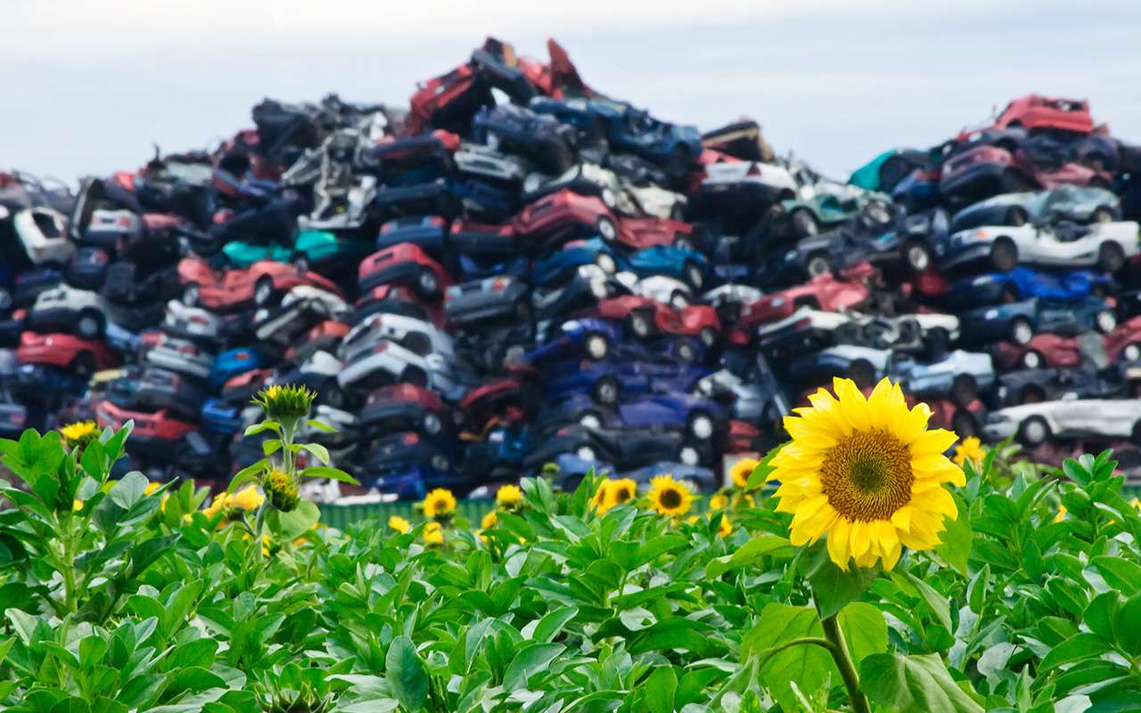 Минпромторг выразил готовность консультировать граждан по новым правилам утильсбора