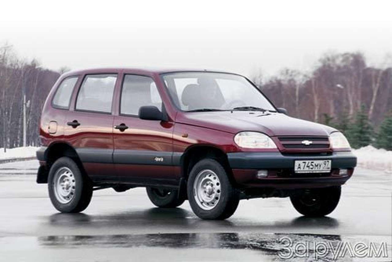 Год возмужания