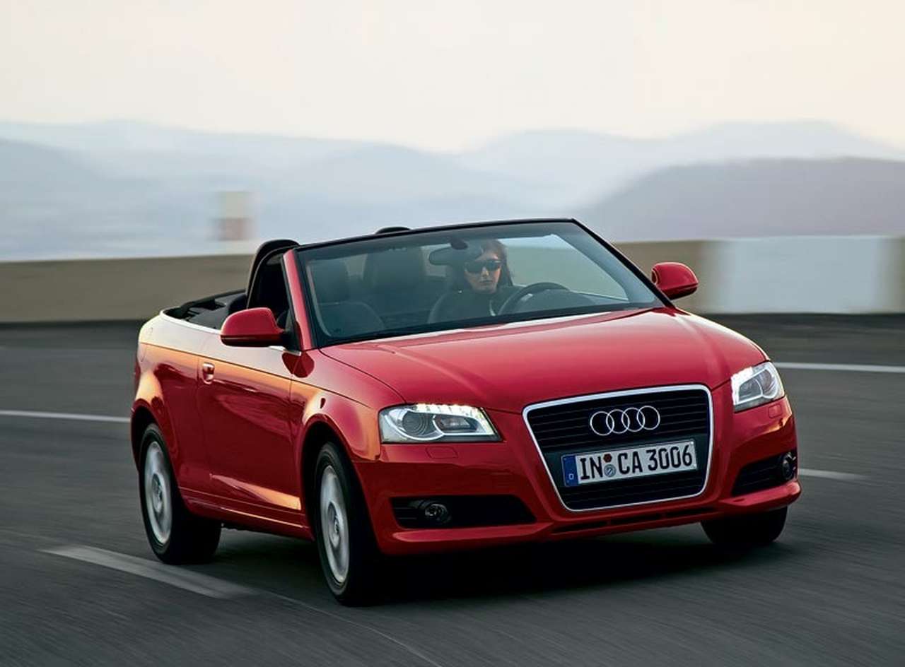 Море, горки, цирк