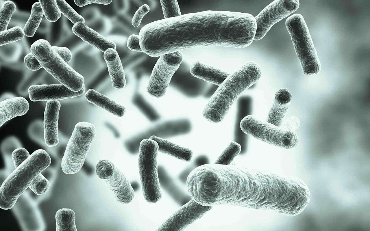 Как сделать дороги на века – просто добавить бактерии!