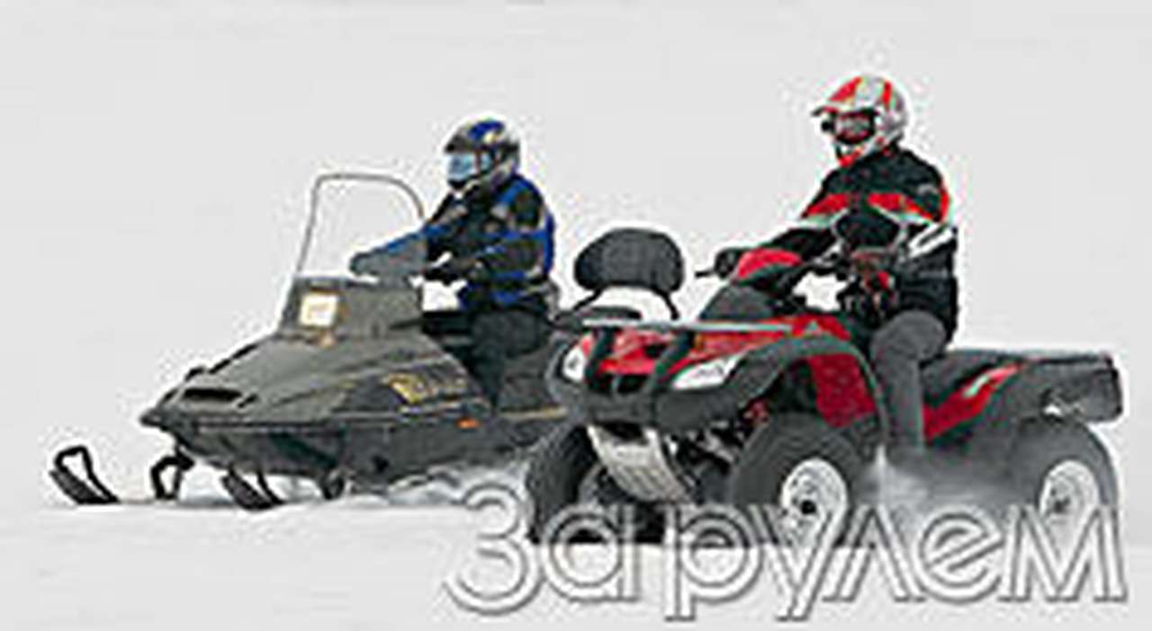 Одного поля ягоды