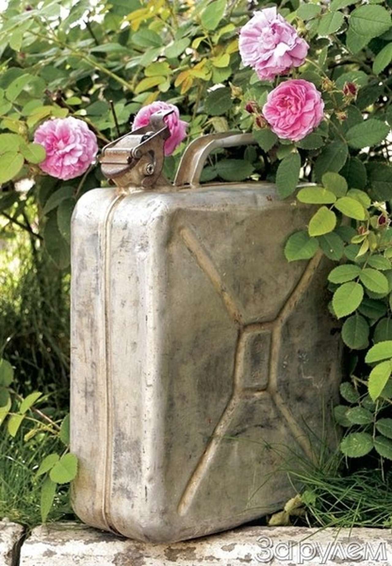 Евро в законе?