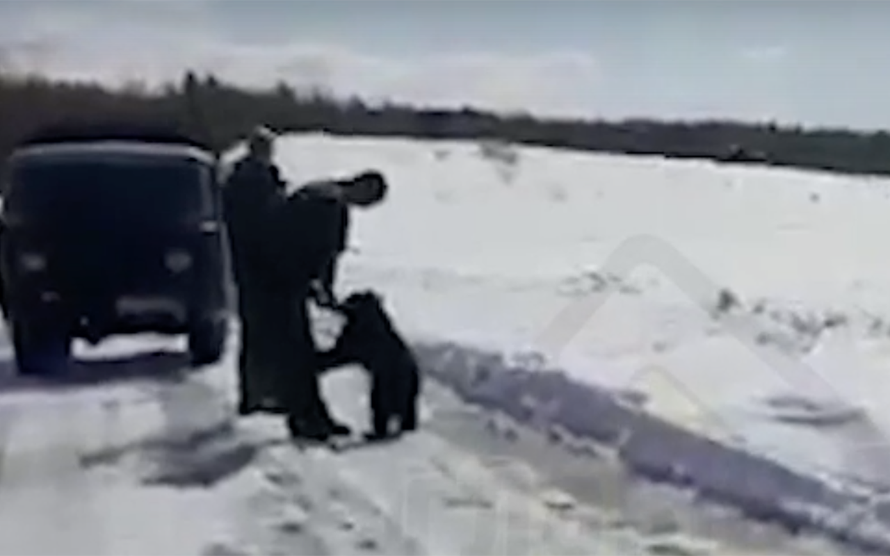 В Якутии проблема: медвежонок проснулся раньше мамы (видео)