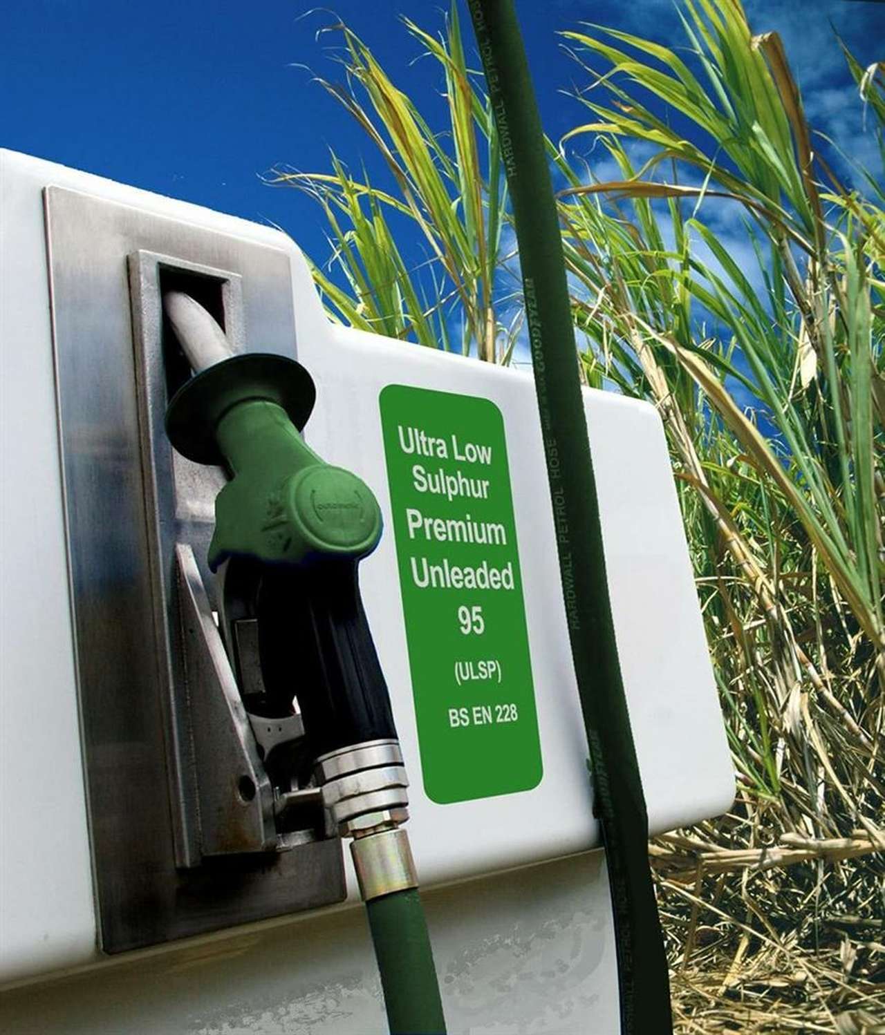 Биотопливо спровоцирует рост цен на продукты