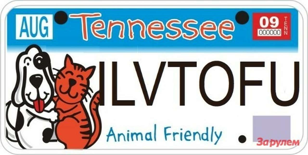 Американке не выдали номерной знак из-за двусмысленной надписи