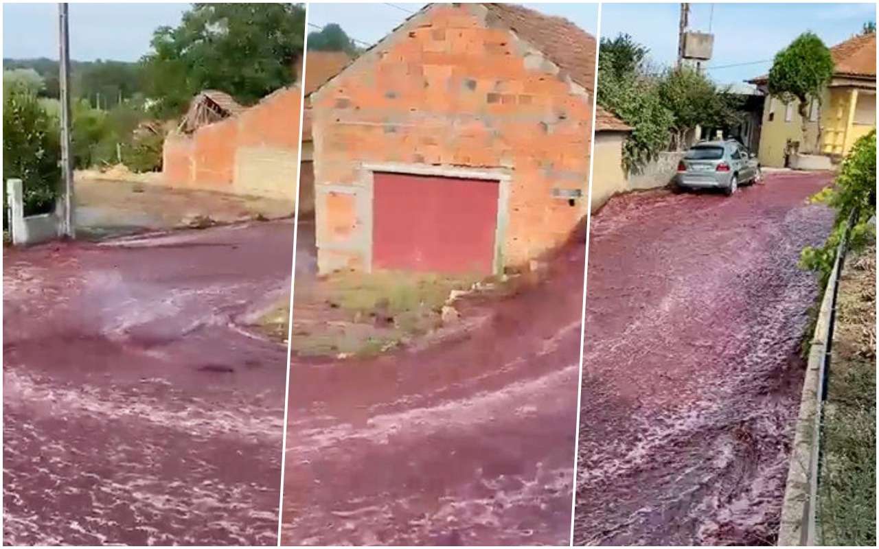 Багровые винные реки затопили городские дороги (видео)