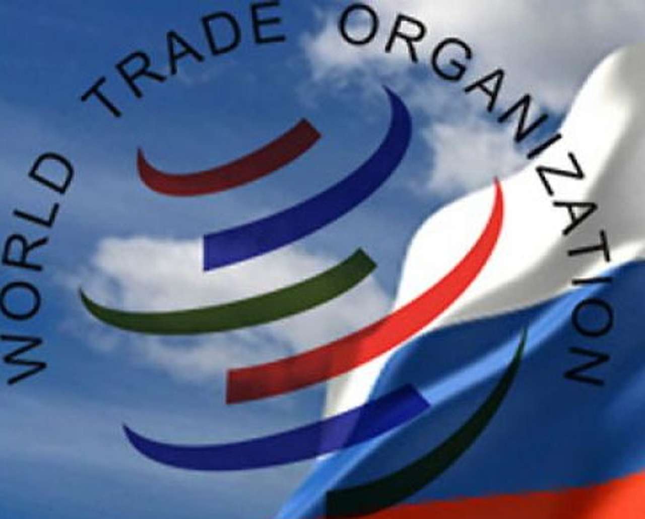 Евросоюз пустил Россию в ВТО за беспошлинные комплектующие