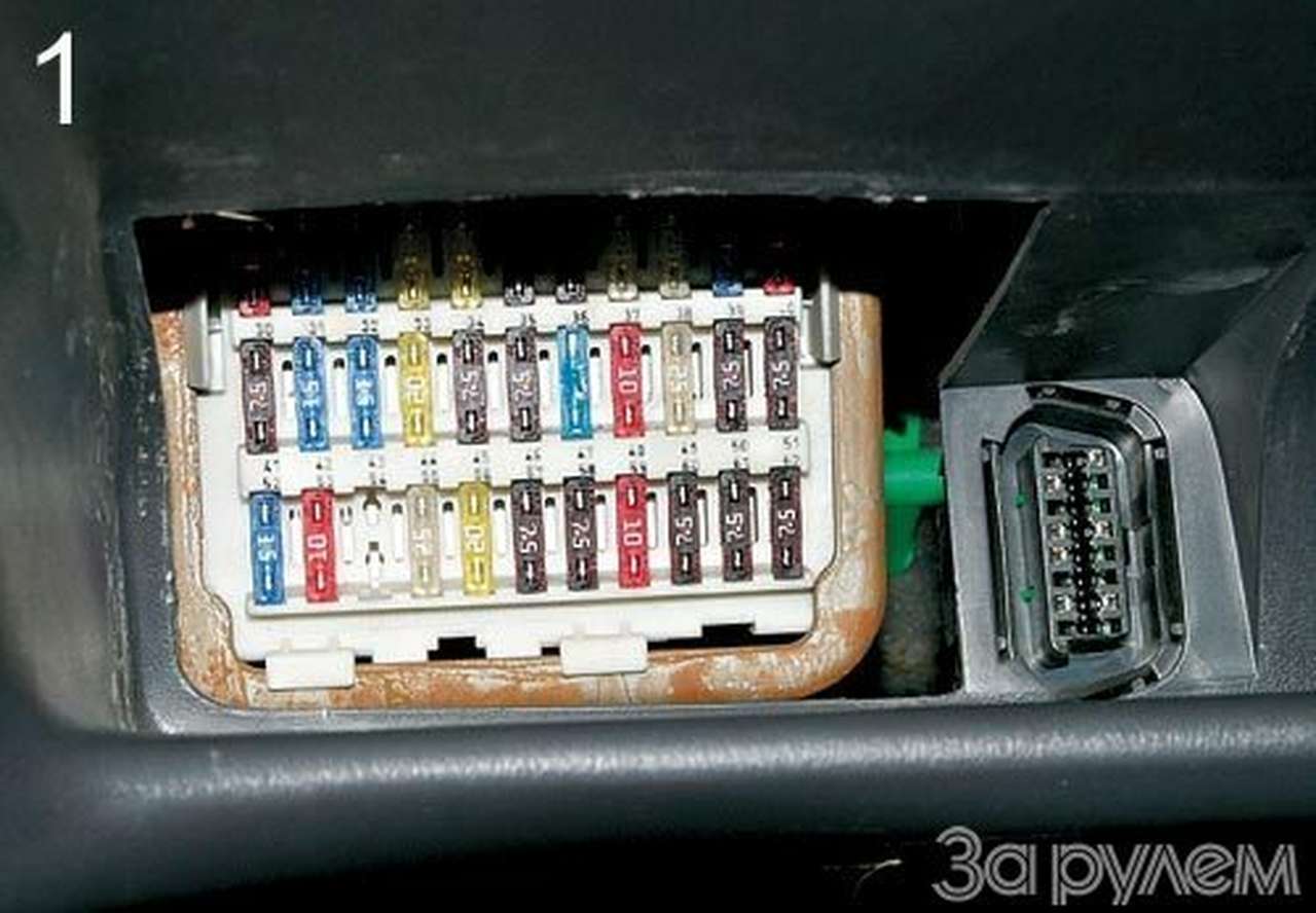 Оглядись вокруг себя...