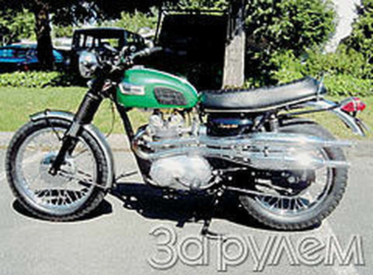 Денди на пляже