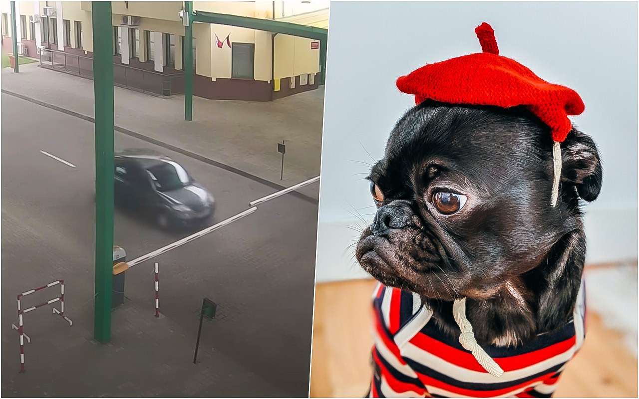 Француз так стремился в Россию, что протаранил шлагбаум на границе Польши