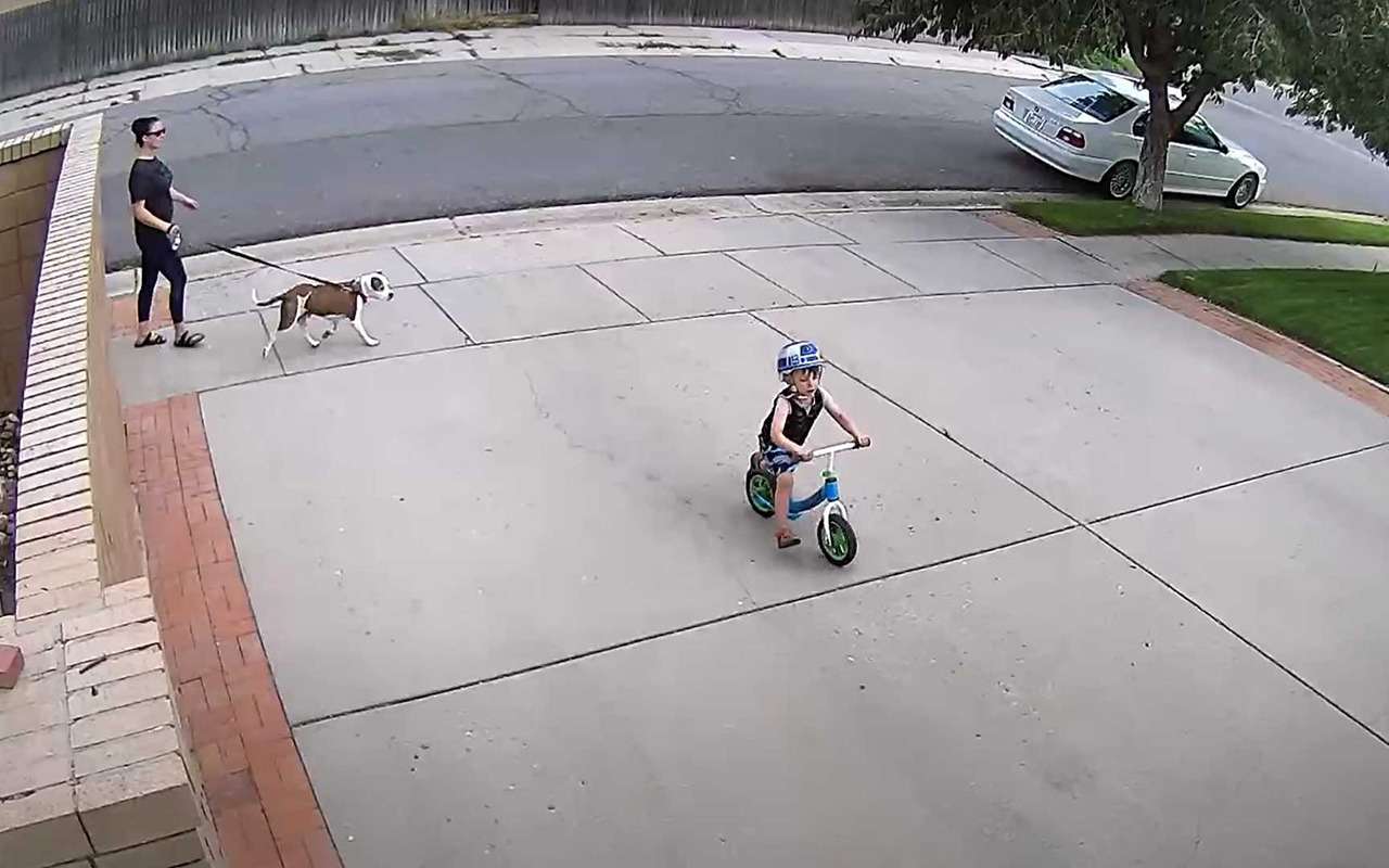 Самое милое видео недели: дети и злой владелец гаража