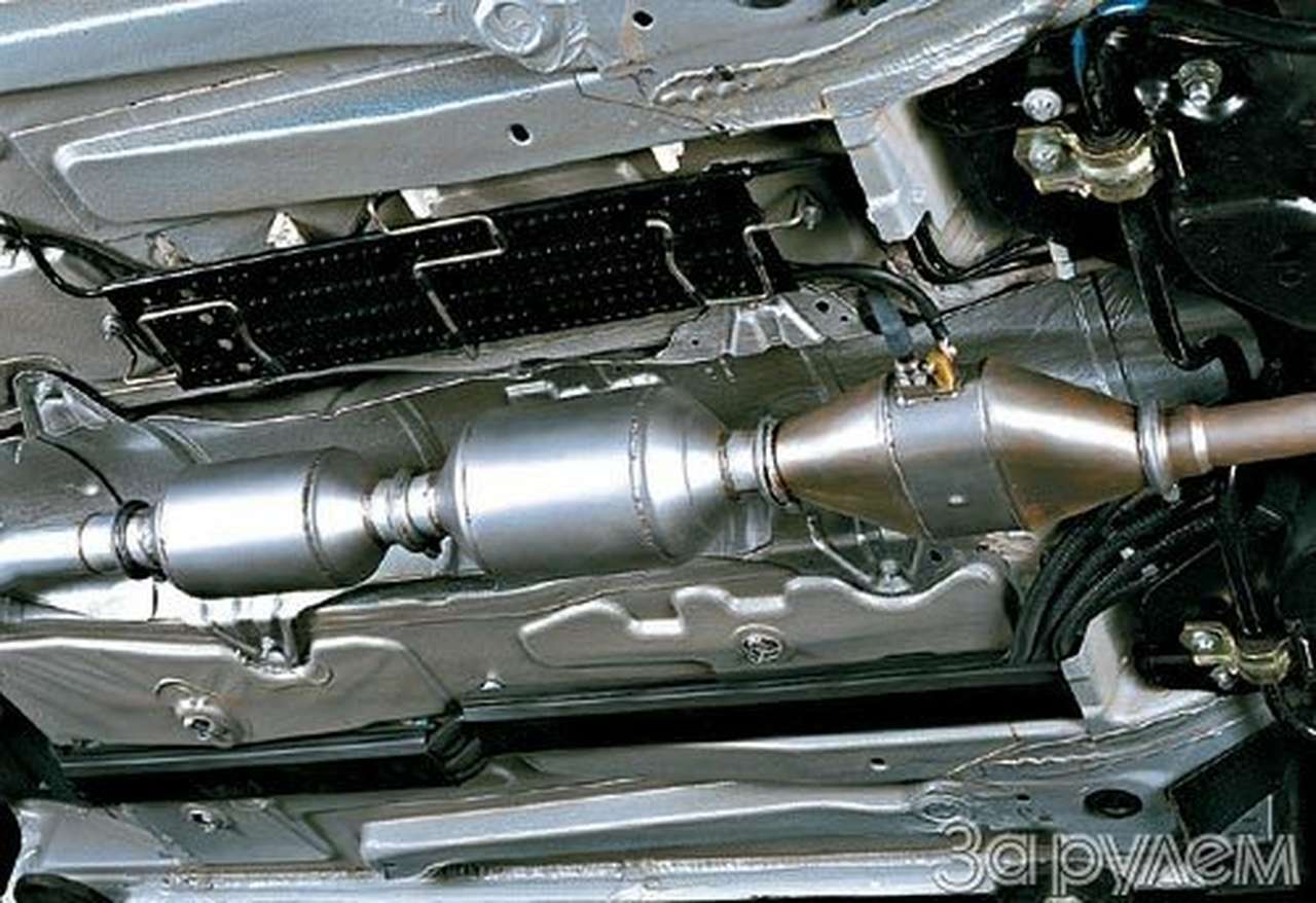 Главный эколог