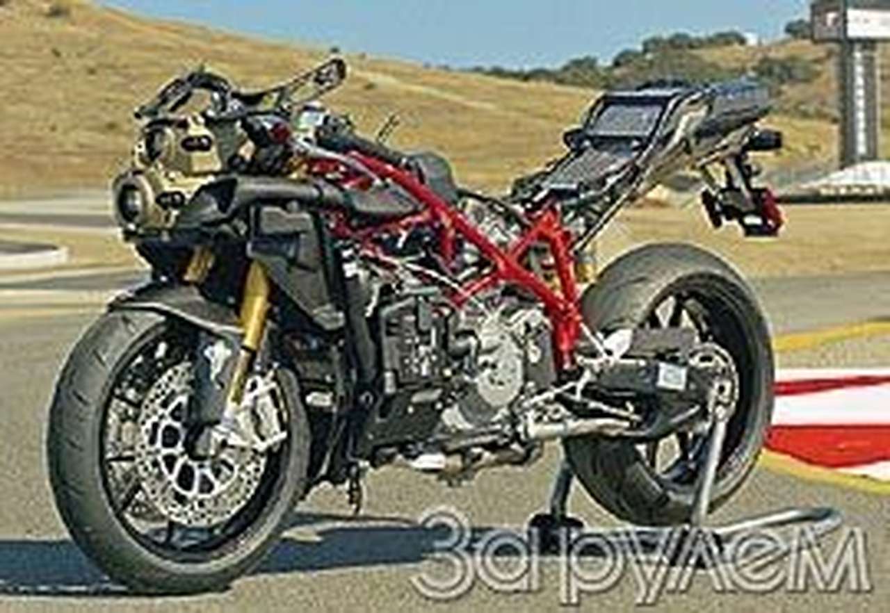 Гонки улучшают породу 