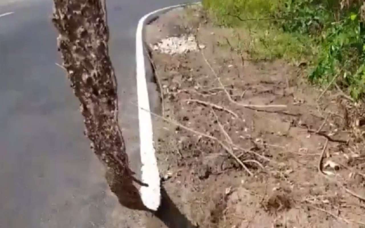 На трассу в Коврове положили «ковер» вместо разметки