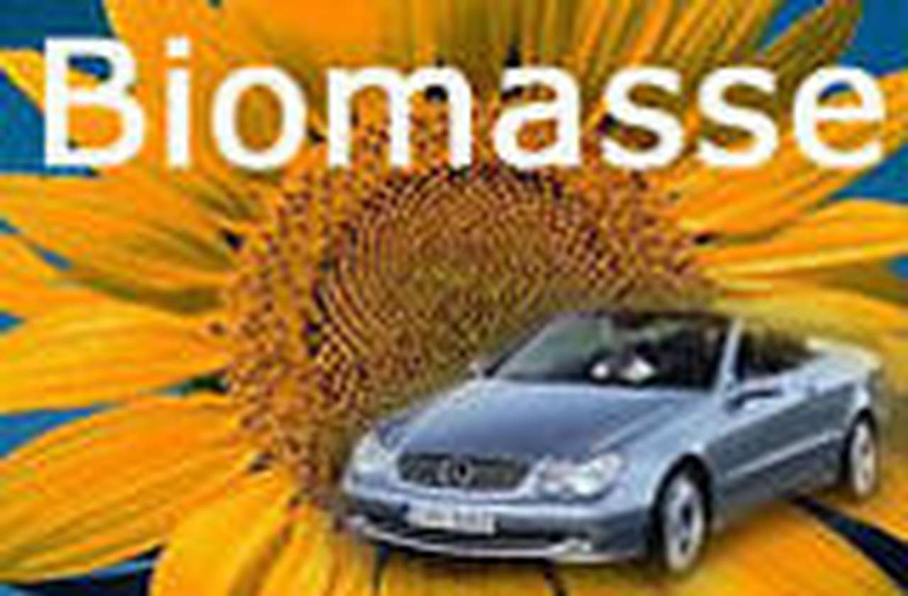 Honda выиграла процесс против Hongda