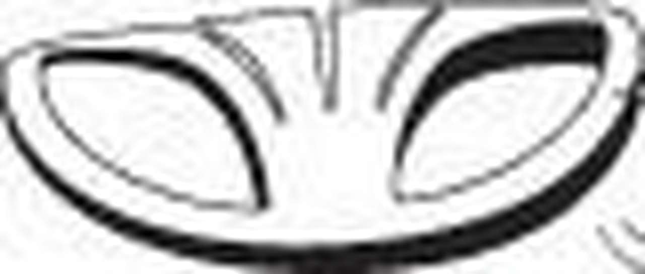 Отвечают специалисты