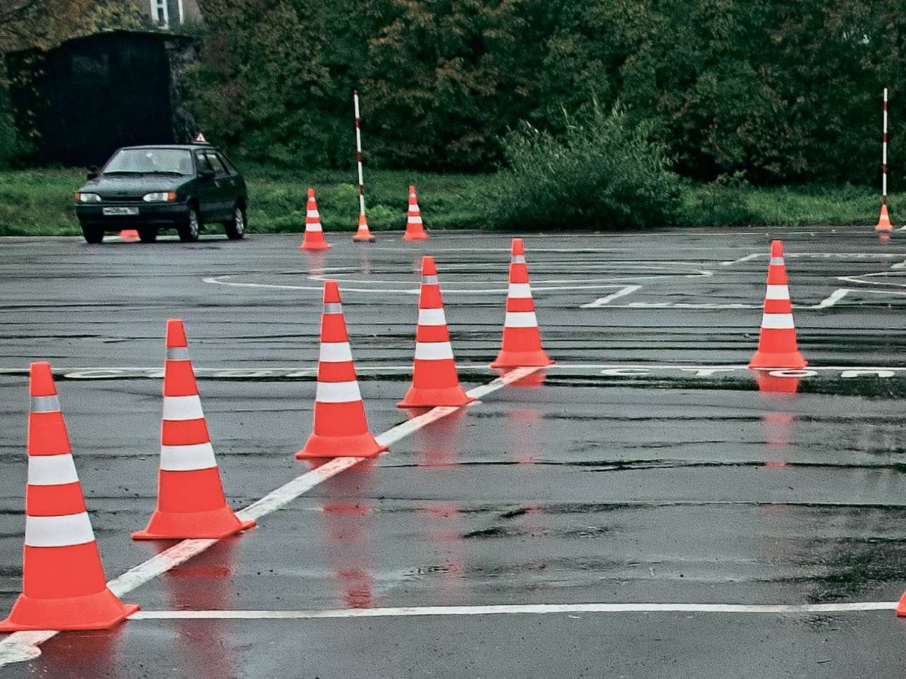 Новые программы обучения в автошколах: нелишние знания