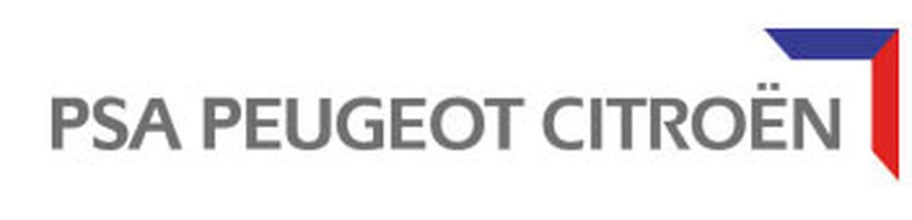 Первые гибриды Франции