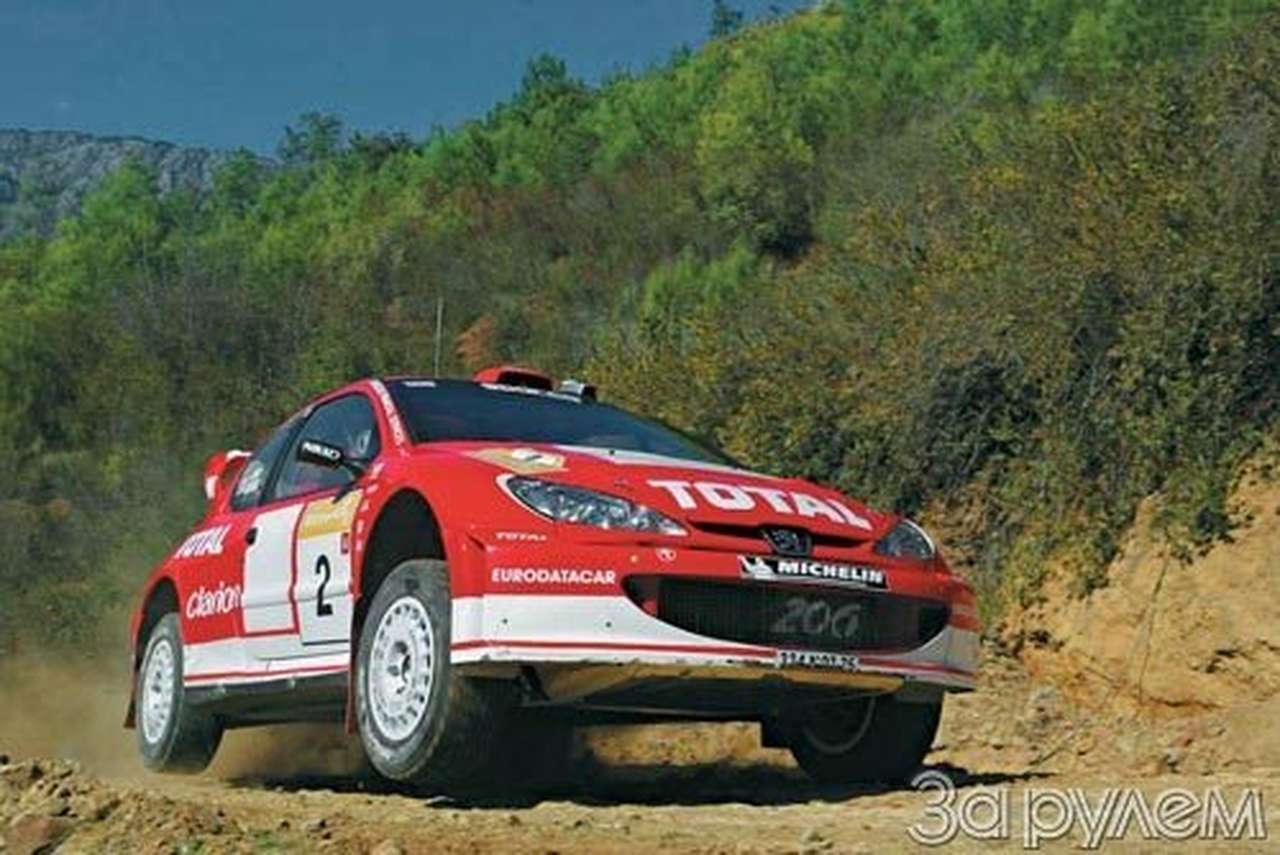 Школа чемпионов